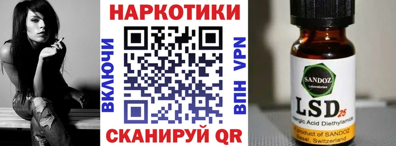Псилоцибиновые грибы Лахденпохья
