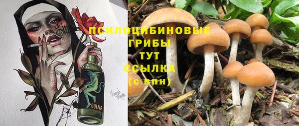 соль ск Алексин