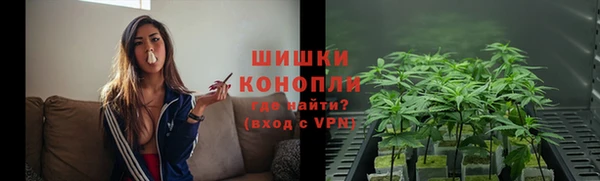 Альфа ПВП Аркадак