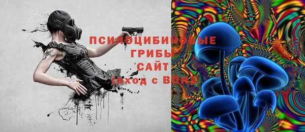 мяу мяу мука Арсеньев