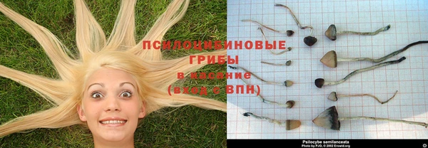 соль ск Алексин